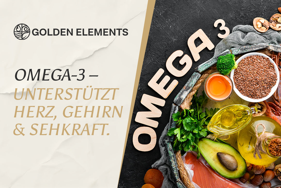 Omega 3 – Herz und Gehirn stärken mit der richtigen Ernährung