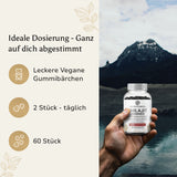 Shilajit Gummies mit 700 mg Shilajit-Extrakt | 60 Stück
