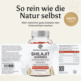 Premium Shilajit Gummies 1000 + Fulvic Acid + Humic Acid - Vitamin C, B6, B12 - 60 pcs