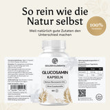 Gelenk Support Plus Bundle