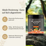 Golden Elements Pre-Workout Booster Pulver Orange Geschmack – Produktdarstellung mit Dosierungsangaben und Anwendungshinweisen