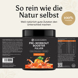 Golden Elements Pre-Workout Booster Pulver Orange Geschmack – Rückseitenansicht mit Zutatenliste und Nährwertangaben